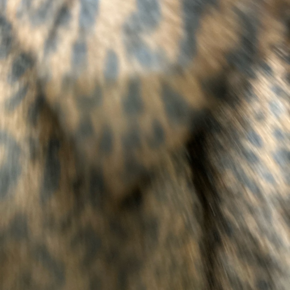 Leopard Print Button-Up Jacket - image 7